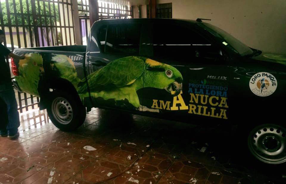 Rotulación Vehicular